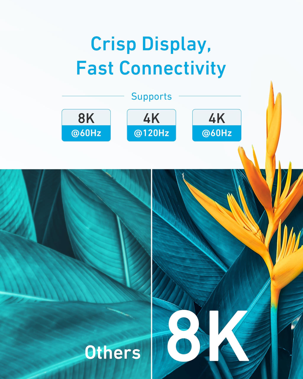 Anker HDMI Cable (6 ft, 8K)